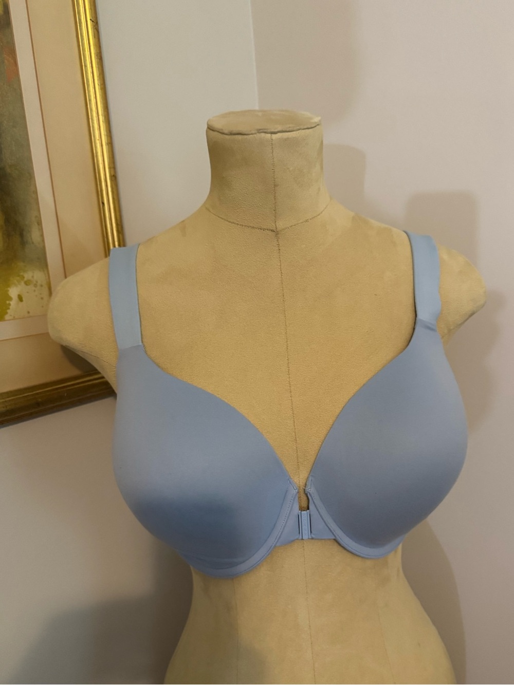 Spanx Bra-llelujah Front-Close Lightly Lined Full Coverage Bra-Antique Blue 38DD
